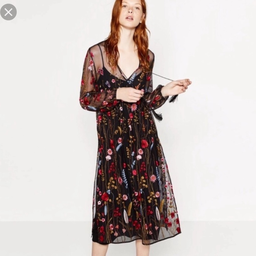 Zara Sheer Floral Embroidered Dress
